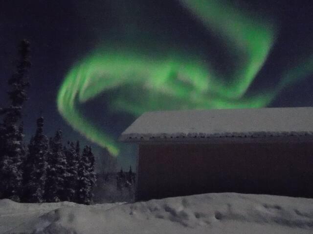 Aurora Viewing Deck And Peaceful Retreat Appartement Fairbanks Buitenkant foto